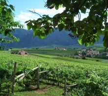 Alto Adige del Sud