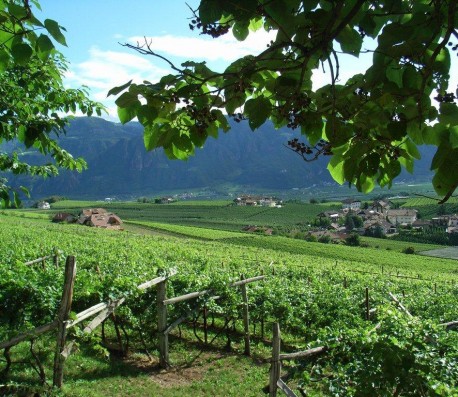 Alto Adige del Sud