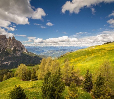 Dolomiti